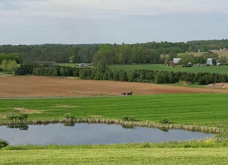 gettysburg-horse-drawn-carriage-tour-countryside-orchards