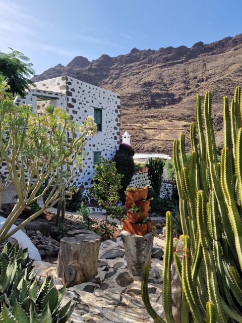gran-canaria-historical-house-with-mango-plantation