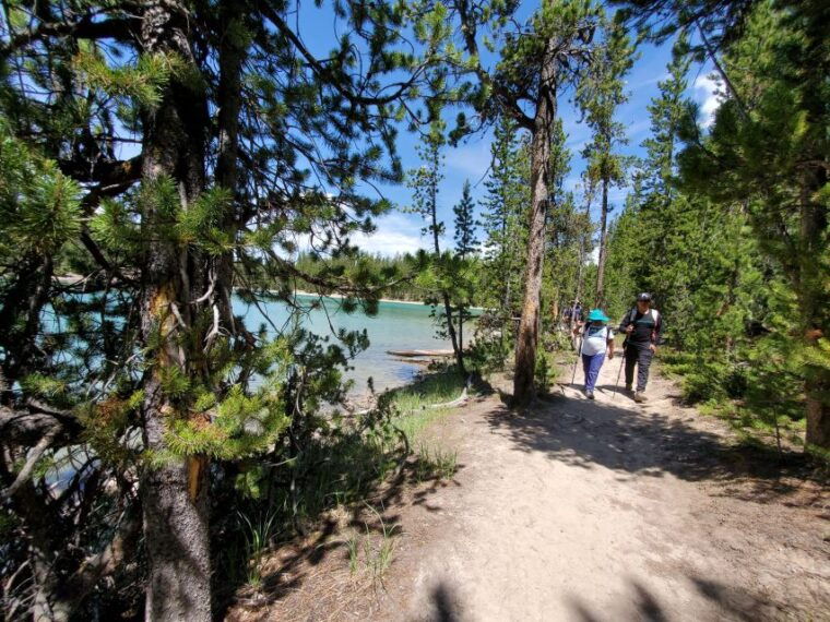 grand-canyon-of-the-yellowstone-loop-hike-with-lunch
