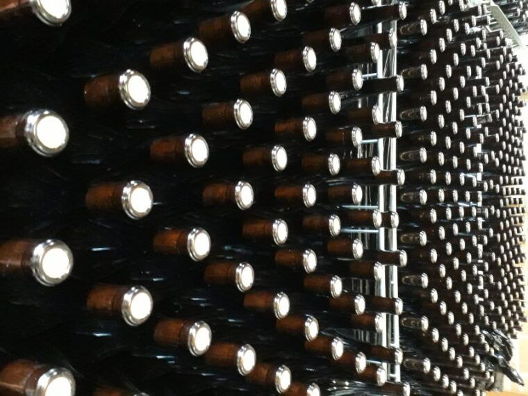 hiking-and-wine-tour-starting-from-alba-2