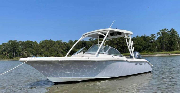 hilton-head-2-hour-private-dolphin-tour