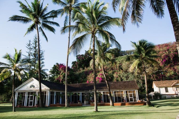kauai-allerton-garden-and-estate-tour-with-sunset-dinner