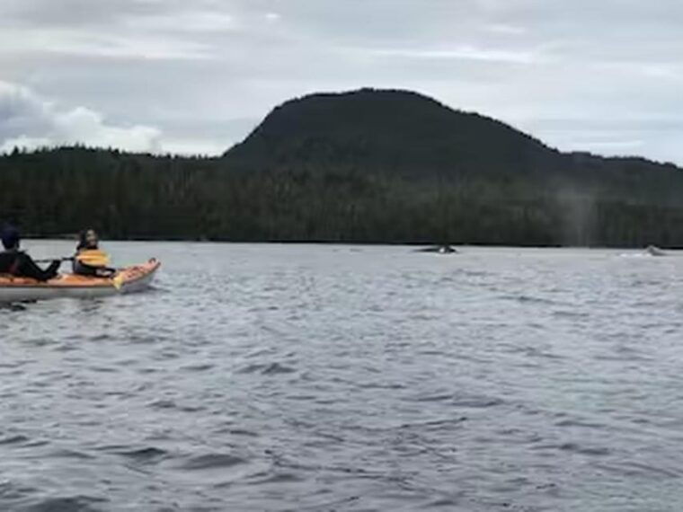 ketchikan-kayak-eco-tour-2