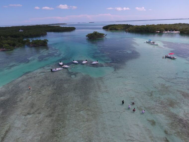 key-west-eco-safari-sandbar-tour-with-snorkeling