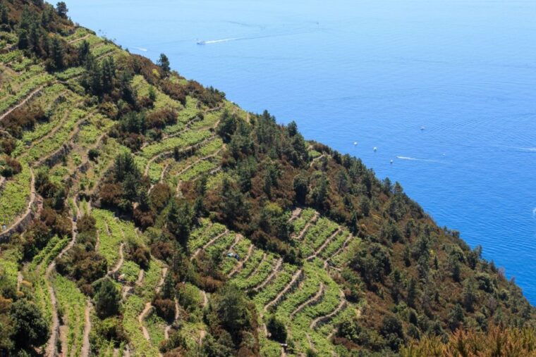 la-spezia-cinque-terre-guided-hiking-tour