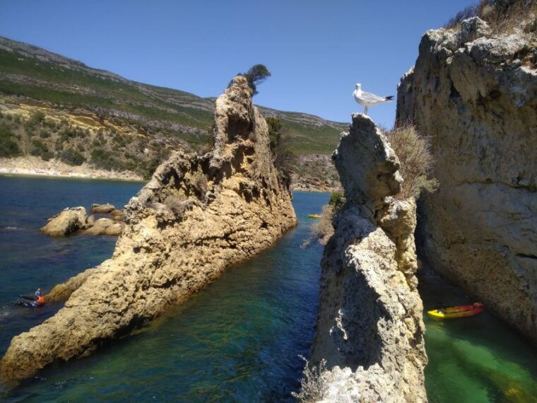 lisbon-arrabida-kayak-and-coasteering-adventure-tour