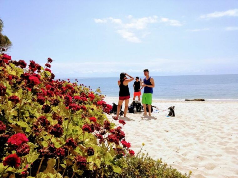 lisbon-arrabida-snorkeling-adventure