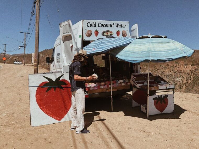 malibu-vintage-vw-sightseeing-tour-and-wine-tasting