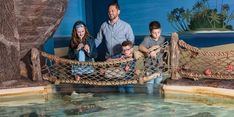 mall-of-america-sea-life-minnesota-aquarium-entry-ticket