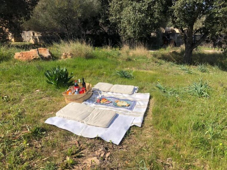 mallorca-activity-antique-mallorca-with-picnic