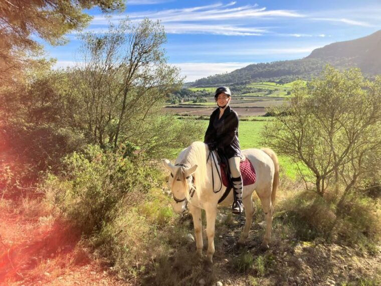 mallorca-activity-with-horses-antique-mallorca