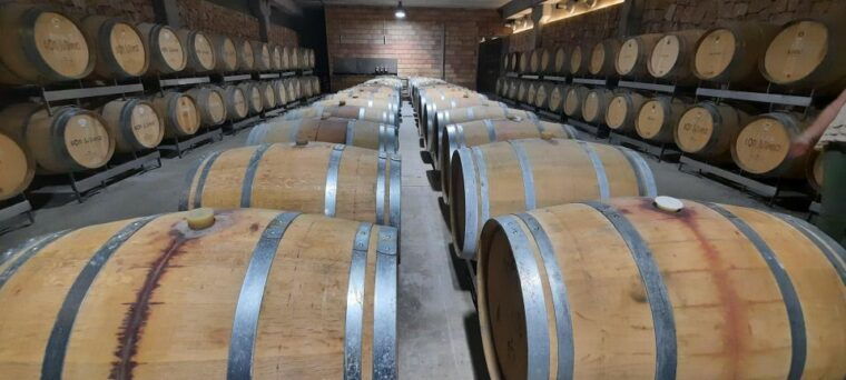 mallorca-bodega-olives-minibus-tour-with-tastings-german