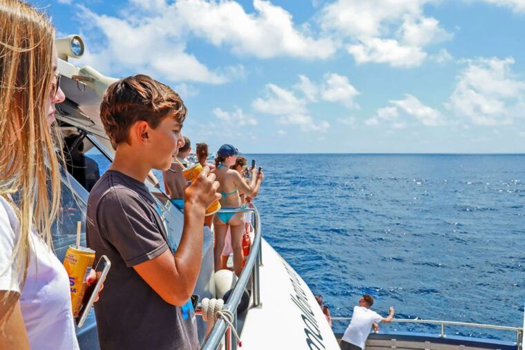 mallorca-dolphin-watching-cruise