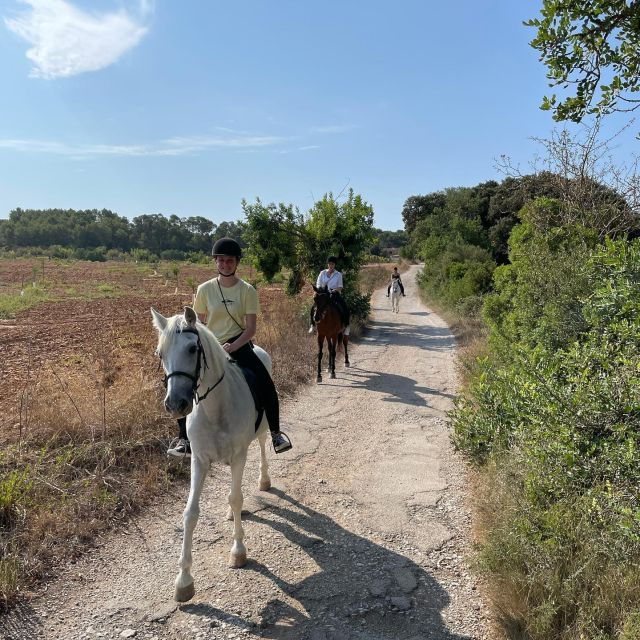 mallorca-guided-horseriding-tour-of-randa-valley