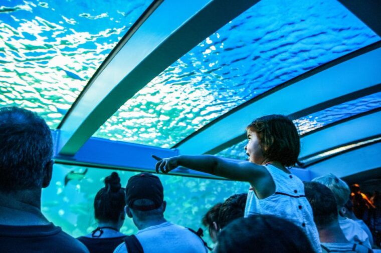 mallorca-palma-aquarium-entry-ticket-w-optional-3d-cinema