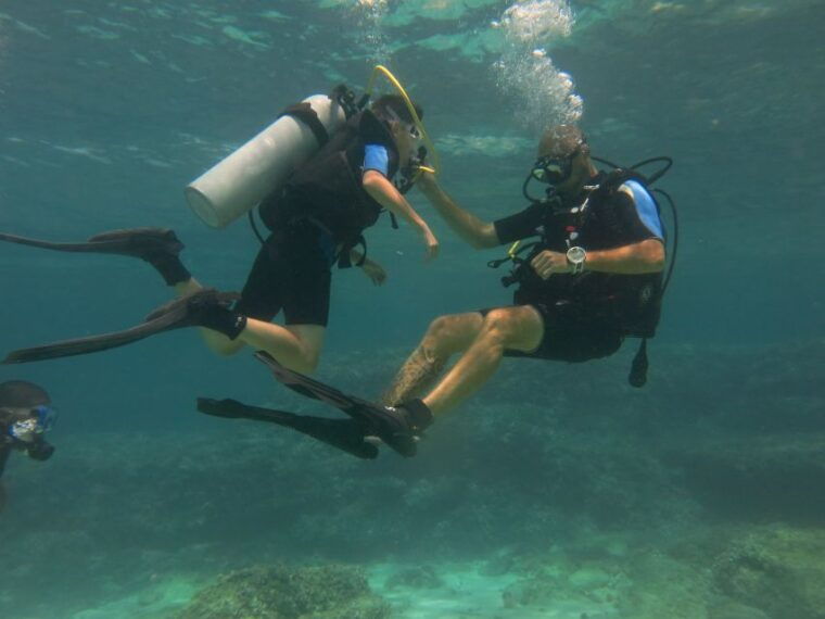mallorca-try-out-scuba-diving-in-a-marine-nature-reserve