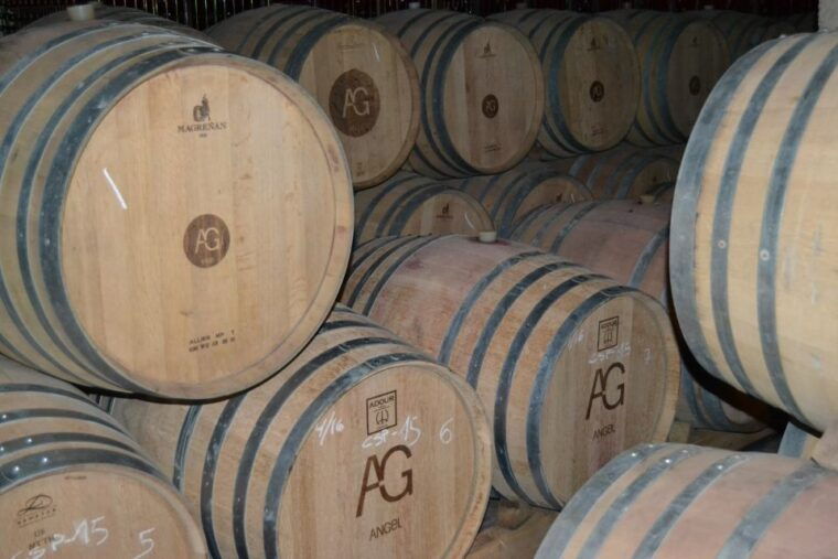 mallorca-wine-cellar-tour-xl-3-wine-tastings-including-german