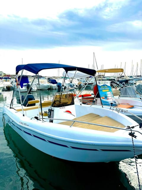 marbella-boat-rental-drive-yourself-with-dolphin-sighting