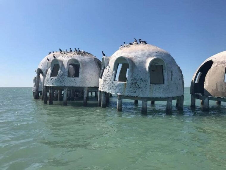 marco-island-ten-thousand-islands-shelling-dolphin-tour