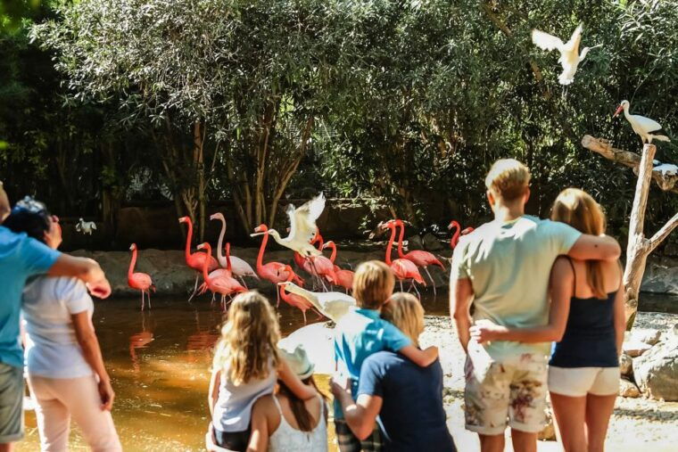 maspalomas-palmitos-park-ticket-with-dolphin-and-bird-shows