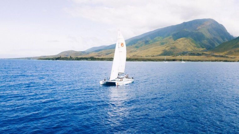 maui-midday-sail-with-the-whales-ma%ca%bbalaea-harbor