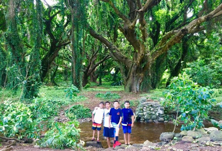maui-private-valley-isle-customized-tour