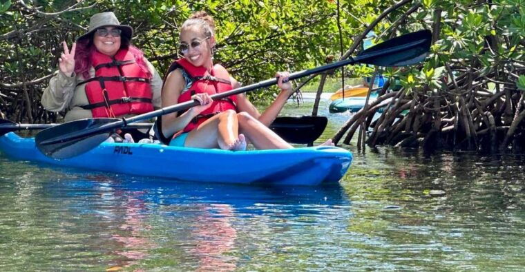 miami-paddle-board-or-kayak-rental-in-virginia-key