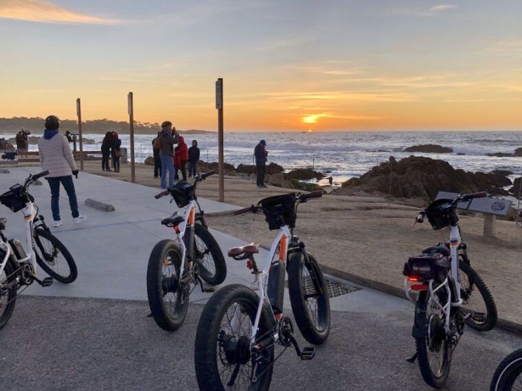monterey-17-mile-drive-guided-e-bike-tour