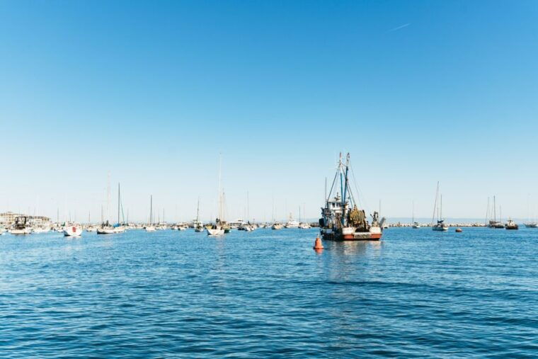 monterey-bay-whale-watching-tour