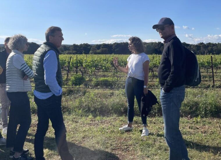 montpellier-half-day-wine-tour-with-lunch