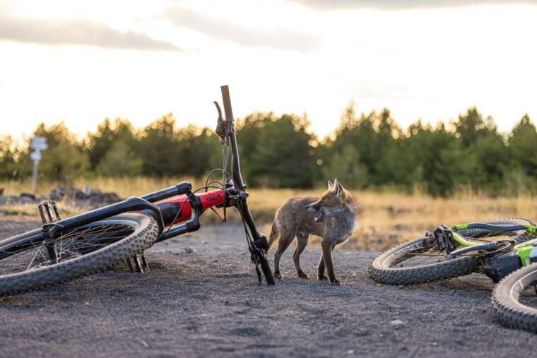 mount-etna-all-around-on-e-bike-2