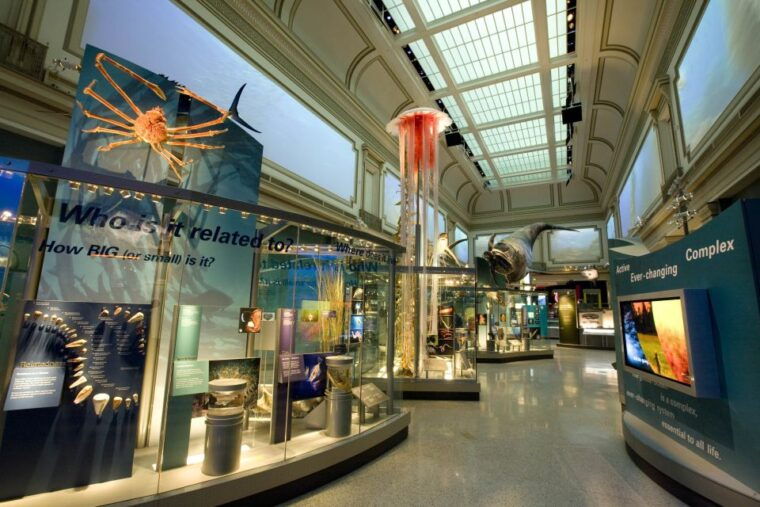 national-museum-of-natural-history-guided-tour