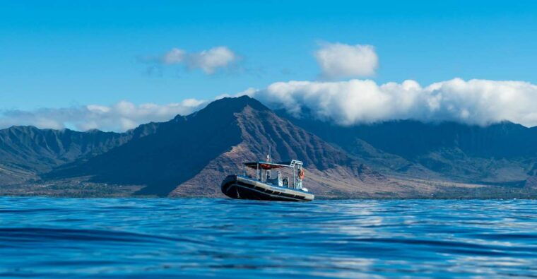 oahu-dolphin-swim-and-snorkeling-speedboat-tour