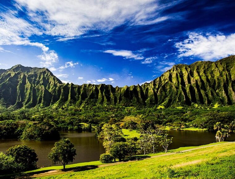 oahu-top-13-things-to-see-slingshot-aloha-tour-2