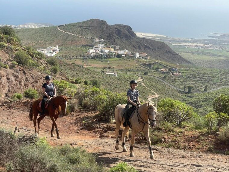 ojos-de-garza-2-hour-las-palmas-mountains-horse-riding-tour