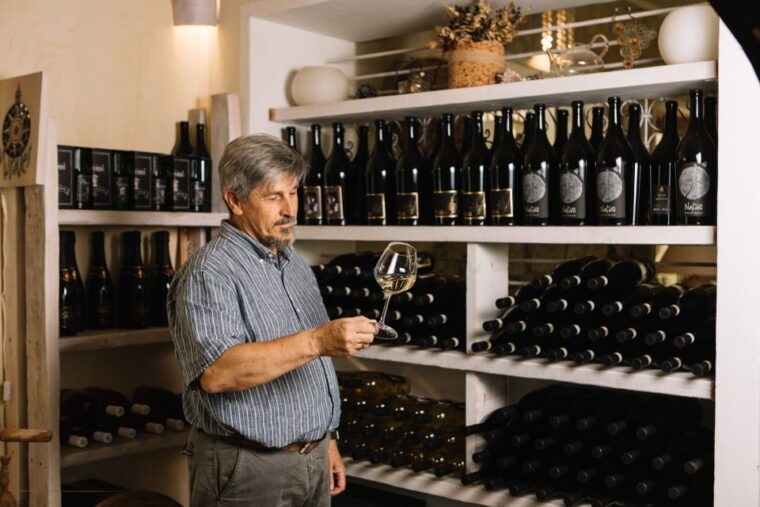 olbia-gallura-winery-guided-tour-with-tasting
