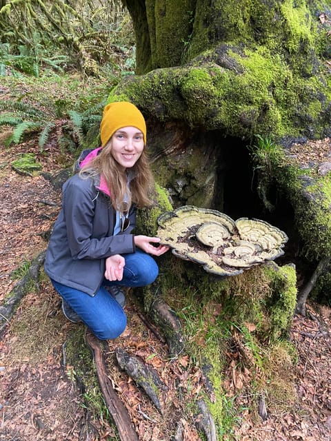 olympic-national-park-rainforest-beach-and-highlights