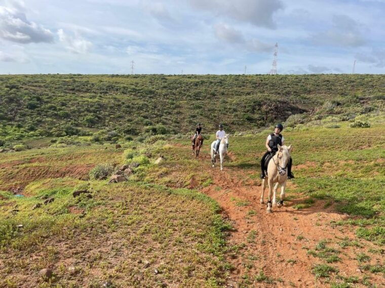 one-hour-horse-riding-tour-in-gran-canaria