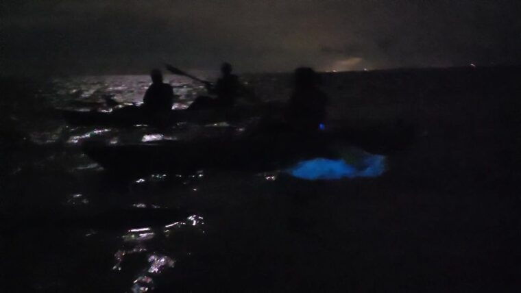 orlando-bioluminescence-kayak-adventure