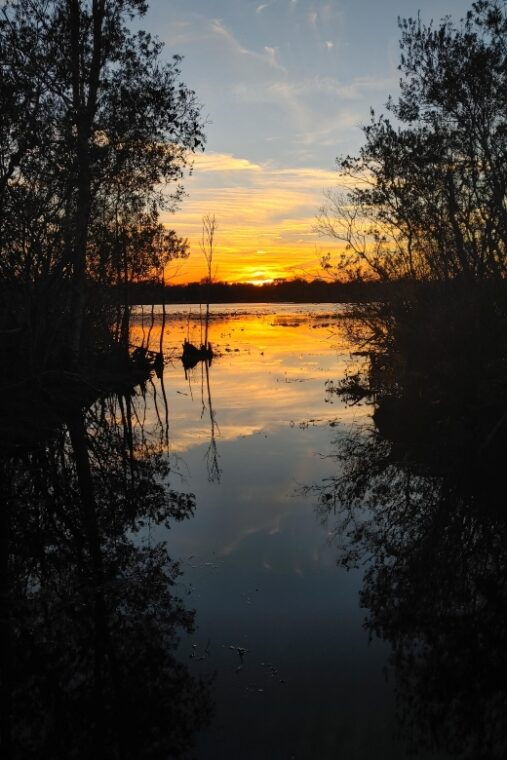 orlando-sunset-guided-kayaking-tour