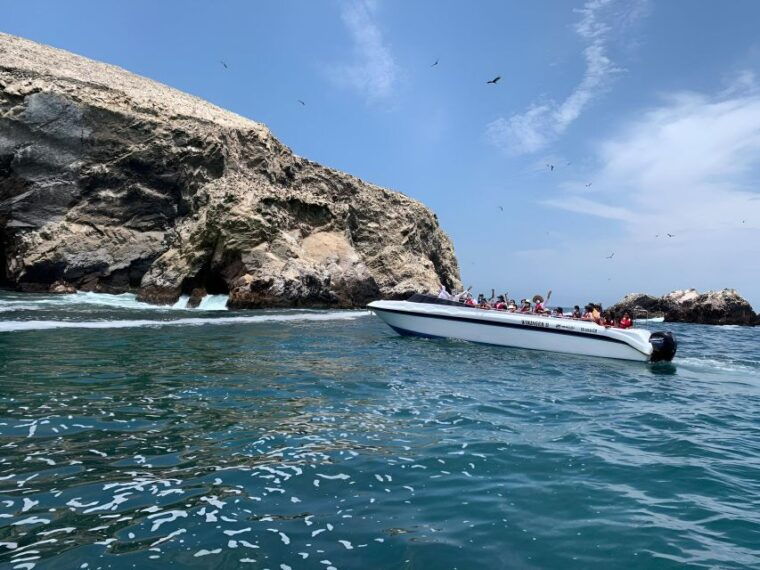 paracas-ballestas-islands-tour-all-inclusive