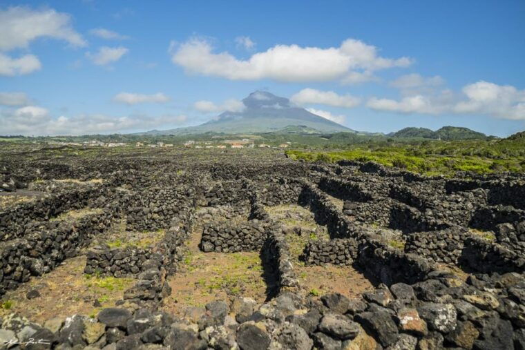 pico-island-full-day-wine-culture-tour