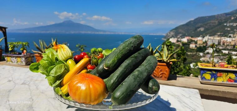 pizza-pasta-and-sorrento-traditional-cuisine-100-hands-on