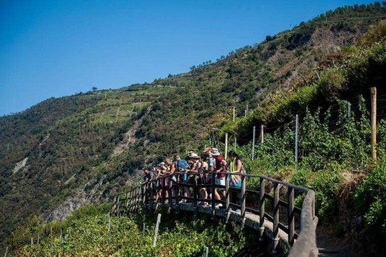 private-cinque-terre-tour-from-florence-with-optional-hike