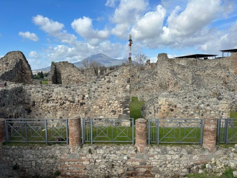 private-guided-tour-to-pompeii-excavations