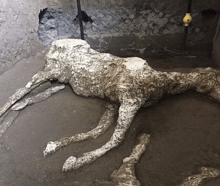 private-pompeii-tour-with-guide-and-transfer-included-2