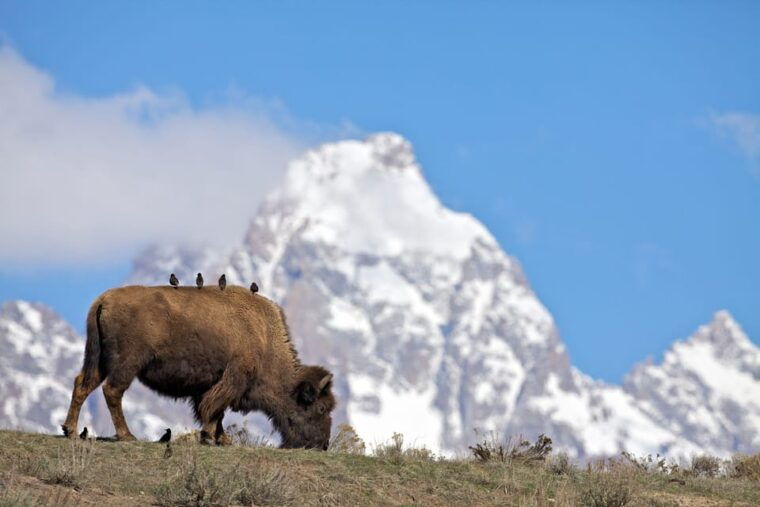 private-sunrise-tour-of-grand-teton-national-park