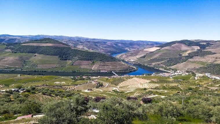 private-tour-to-stunning-douro-valley-and-renowned-wineries