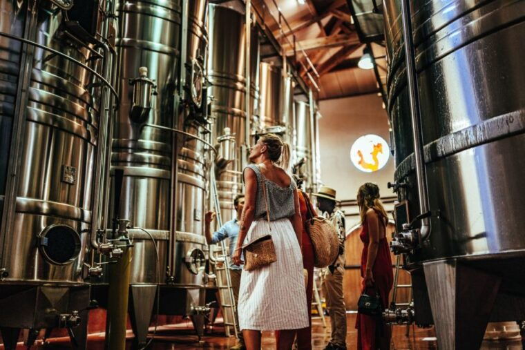 provence-wine-tour-private-tour-from-nice
