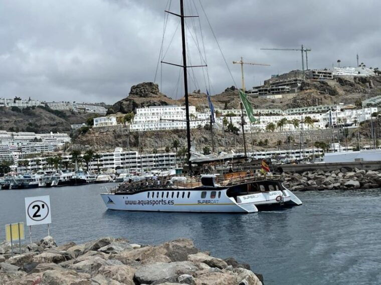puerto-rico-2-hour-dolphin-catamaran-excursion